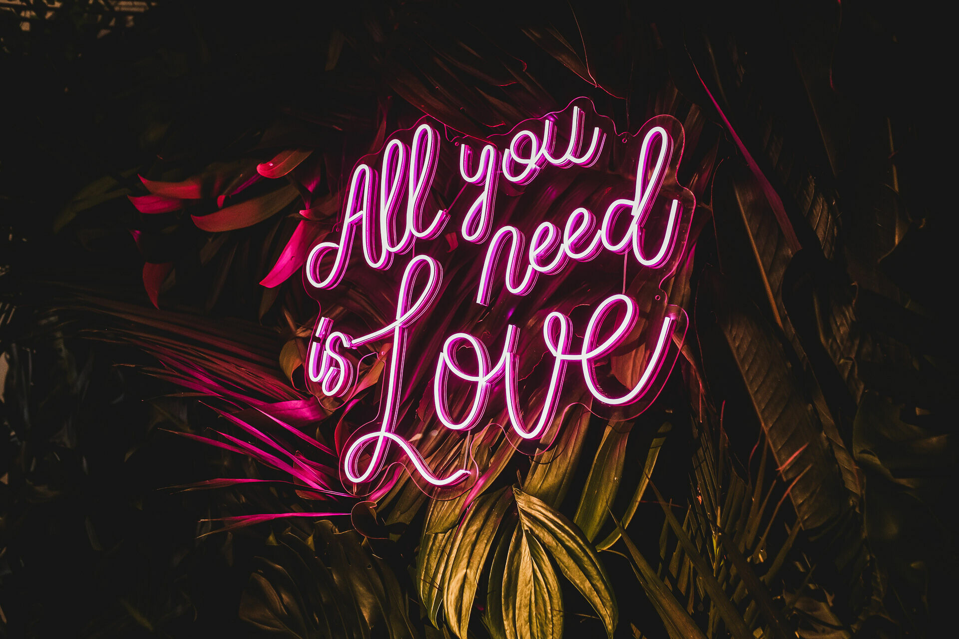 Foto Eduardo e Diogo - Villa Eccny - Imagem 29