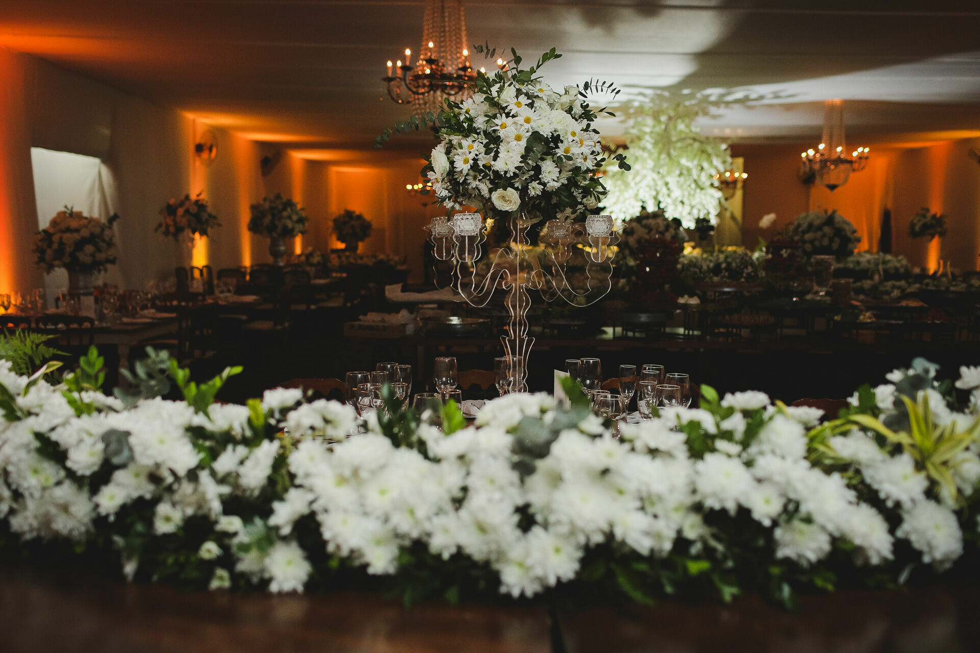 Foto Fernanda e José - Ouro Fino - Imagem 25