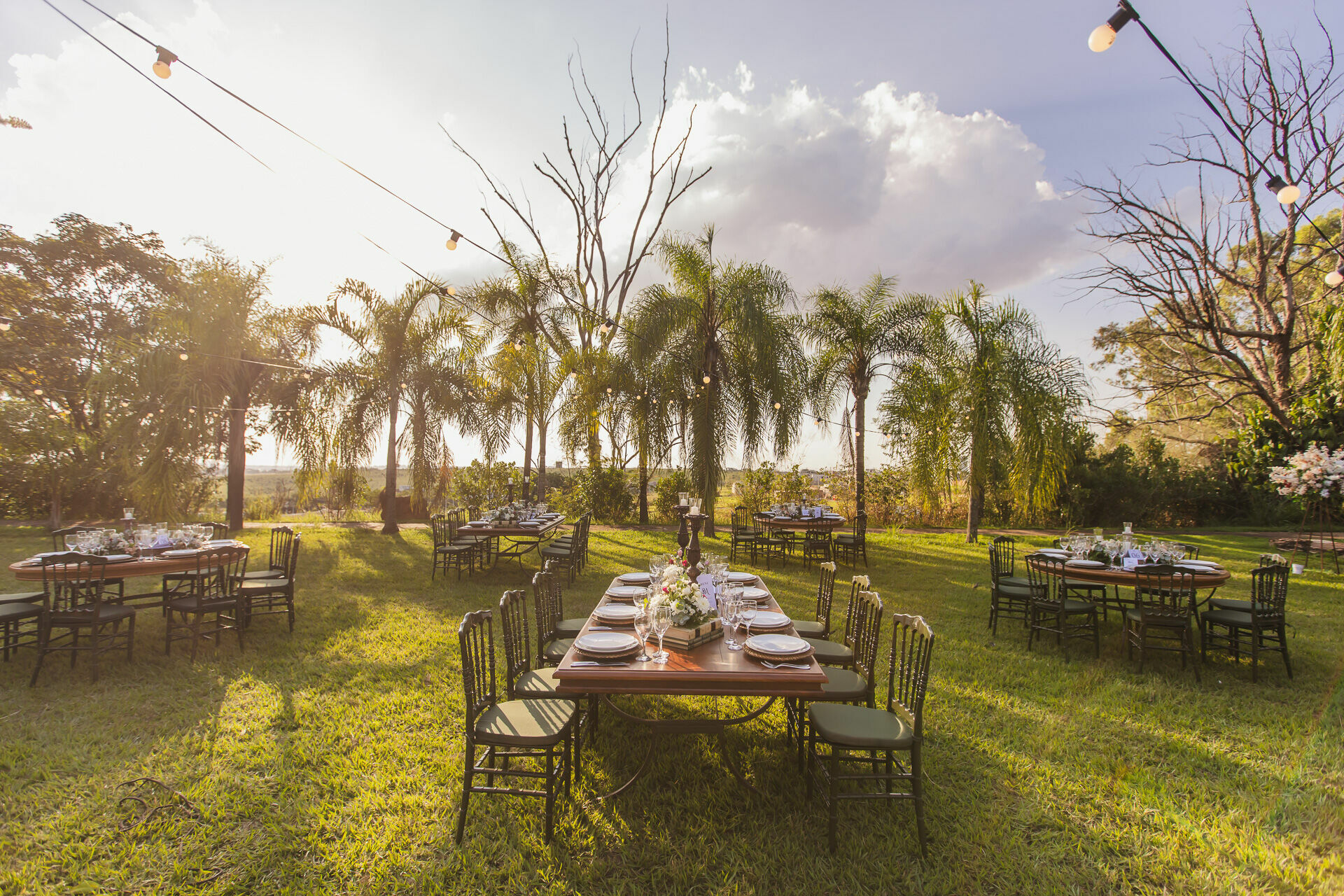 Foto Bronwyn e Matheus - Fazenda Felix - Imagem 2